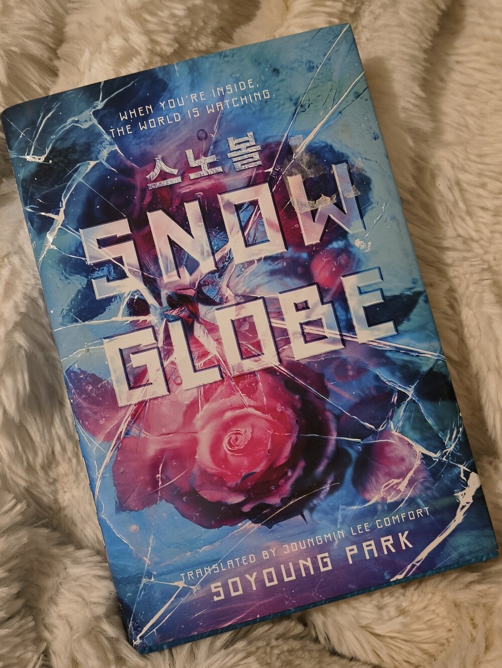 Snow Globe by Soyoung Park Hardcover